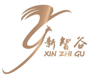 Product - Shan Tou City Xinzhigu Toys Co., Ltd. - China