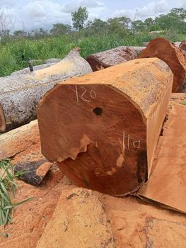 Sawn Iroko Wood Planks High Density Hardwood Timber Boards Kiln Dried for Flooring Joinery and Construction Use Export Grade Use - AGRONOVA - United States