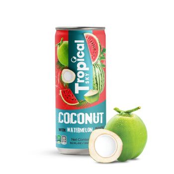 The best supplier young coconut water package Aluminium Can in Viet Nam - Tropical Sky Beverage Company - Vietnam