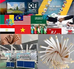 Paper Straws Making Machine Paper Straw Machines - Qingdao Rui Jie Plastic Machinery Co., Ltd. - China