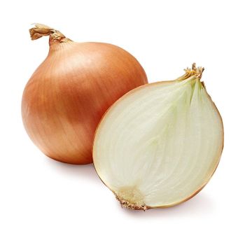 Carefully Sorted Fresh Onion From Trusted Farms With Export Packing Details For Wholesale Buyers - malter group - Tanzania