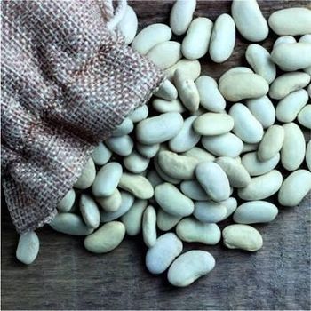 Factory Price White Kidney Beans in Bulk Wholesale Packaging Fat 0.5g Fiber 6.4g Iron 2.9mg Zinc 1.1mg Sugars 0.3g Prote - Thai Agri Company - Thailand
