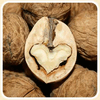 Product – product photo, Walnuts products found from trusted suppliers, wholesalers, manufacturers & exporters Listing