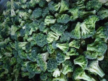 Premium Frozen Broccoli - Super Quality Green Vegetable HS Code 0710809090 Production Capacity 2000 Mts Transport Package - Jinan Gogo International Trade Co., Ltd. - China
