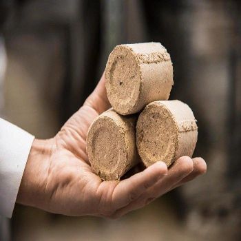 Natural Wood Briquettes Premium Biomass Fuel With High Calorific Value And Minimal Smoke Production - CPW TRADE LTD - United Kingdom