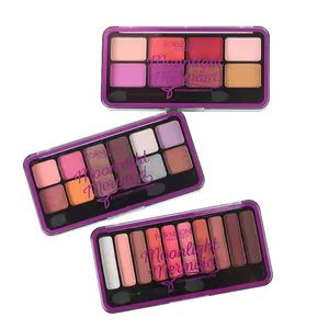 Makeup Palettes Eye Shadow Palette/Cosmetic Glitter Color Eye Shadow - Jinhua Sanctity Cosmetics Co., Ltd. - China