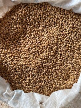 sour cherry seed Plant Rapeseed Type sour cherry seeds Manufacturer Uzbekistan - Freeze Dried Fruit LTD - Uzbekistan
