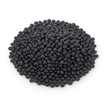 Organic Black Lentils Naturally Grown With Superior Taste Black Lentils Ideal For Export And Large Scale Supply - THE GREEN INTERNATIONAL LIMITED - Tanzania