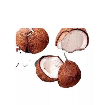 Coconut Fresh Premium Quality Bulk Supply for Wholesale - Mundus Exports Pty Ltd - South Africa