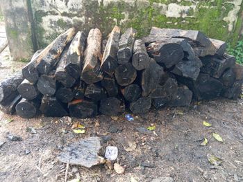 Ebony black wood - Patience - Nigeria