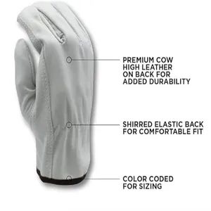Premium Grade Cowhide Leather Driver Work Safety Gloves for Men Use - Ningbo East Packaging Technology Co., Ltd. - China