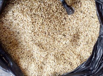 SESAME SEEDS – product photo, Raw Sesame Seeds products found from trusted suppliers, wholesalers, manufacturers & exporters Listing