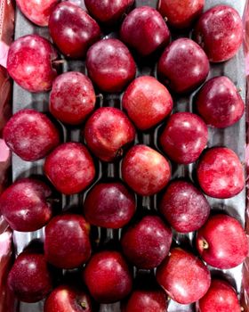Fresh TopRed Apples export quality - NINE FRUITS EXPORTS (PTY) LTD - South Africa