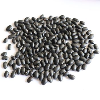Bulk Price Dried Bean Gallo Pinto Black Kidney Beans Casado Black Beans - Hebei Nihewan Agricultural Development Co., Ltd. - China