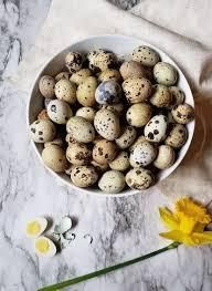 Canned Quail Eggs/ Best Price Closure Type Bellows Closures, Clamp Closures, Hinged Lid, Tear-Off Lids Packaging Propert from Thai Agri Company Canned Quail Eggs/ Best Price Closure Type Bellows Closures, Clamp Closures, Hinged Lid, Tear-Off Lids Packaging Propert - Thai Agri Company - Thailand