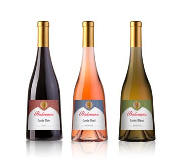 Cuvee Regia 2025 blend fresh fruit still wine 12.5%Alc Body Medium Color Garnet Red Aftertaste Long And Sweet Aroma Spices And Fresh Plums - S.C. Viile Budureasca S.R.L. - Romania