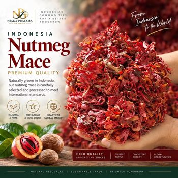 Indonesian Dried Nutmeg Mace - Premium Whole  Mace / Fuli Pala for Export Bulk Supply - Niaga Pratama Global - Indonesia