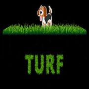 Product - Ruff n Tuff Turf - United States