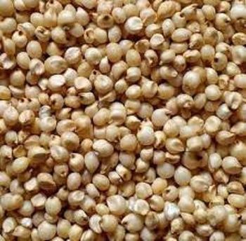 Grains Wheat Corn Oilseeds Barley Sorghum Buckwheat - ROM BAU GMBH - Germany