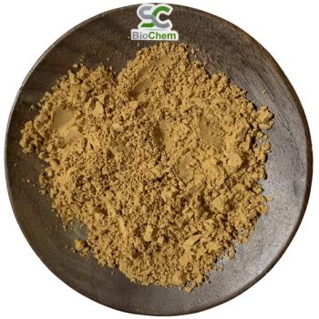 Natural Organic Herbal Ingredient Concentrated Powder Jerusalem Milk Thistle Artichoke Extract for Weight Loss - Shengchuan Biochem Co., Ltd. - China