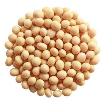 Gmo Soyabean Yellow Soybean Soja Soya Beans GMO Soya Beans Soybeans Crop High Quality Soybean/Soya B - VERTEX TRADING LIMITED - United Kingdom