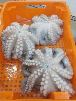 Mediterranean seafood - Odyssa Al Bihar - Tunisia