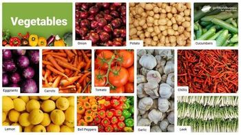 Vegetables - SIFIKA GROUP INTERNATIONAL - South Africa