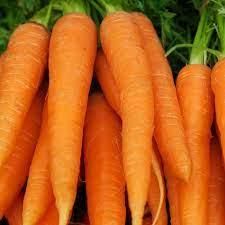 Fresh Carrot Type Fresh Grade Top - ABOLLEJI SIA - Latvia