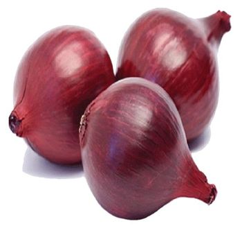 Fresh Red Yellow Onion 6 - 8 mm 2023 Newest Crop Export Quality Fresh Yellow Onion Round Within 7 Days Yellow Red Onion - ORGANIC SMILE - India