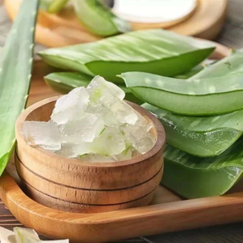 Premium Fresh Aloe Vera Jelly – 100% Natural & Hand-Harvested from Vietnam - VIET FARGIMEX COMPANY LIMITED - Vietnam