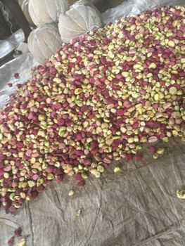 Brazil Nuts - BF GLOBAL TRADING (PTY) LTD - South Africa