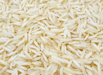 Quality Sella Basmati Medium-Grain Rice Wholesale 5% Broken White Rice Parboiled Rice Fresh Hard Texture - AGRONOVA - United States