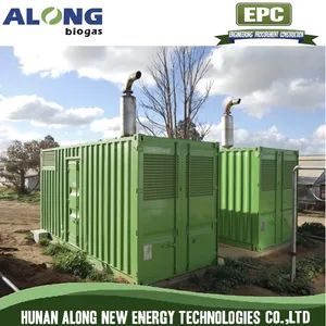 Silent Container Biogas Generator Set Containerized CHP System - Hunan Along New Energy Technologies Co., Ltd. - China