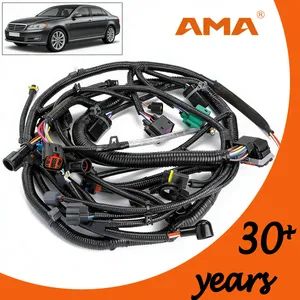 Best Selling Product Flame Retardant Car Wiring Harness for New Energy Car - Zhejiang Ama&Hien Technology Co., Ltd. - China