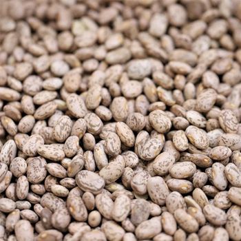 Organic Farm Harvest Pinto Beans Supplied As Dried Legume Product With Secure Packaging - malter group - Tanzania