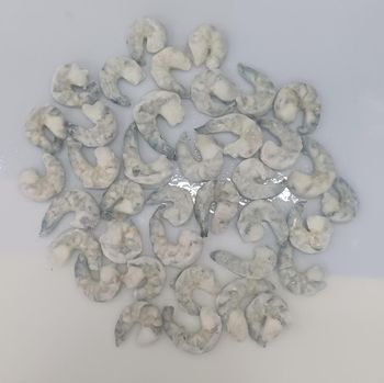 Frozen Black Tiger PD shrimps - amigoseafood co - India