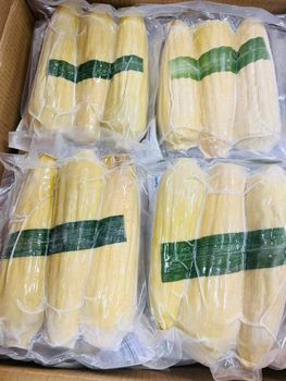 Frozen cooked waxy corn Size 15cm Up Weight 200gr Up Husk Layers 2-3 Layers Place of Origin Vietnam Storage Temperature -18 - Công ty TNHH Thương Mại Xuất Nhập Khẩu Tân Gia Thành - Vietnam