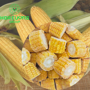 IQF Frozen Boiled Corn  Place of Origin Viet - HOA CUONG AGRICULTURAL JSC  - Vietnam
