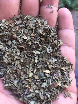 Basil, thyme, marjoram Form Chopped, Ground Freshness Level Dried - Elmotmiz Herbs - Egypt