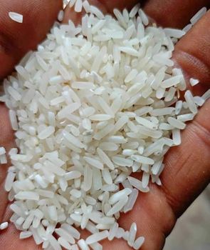 Long Grain Rice - PT ANAK MENOL IKAK - Indonesia