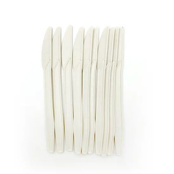 Eco Friendly Disposable Spoons and Forks Knife Food Grade Flatware Sets Cornstarch - Xiamen Biogreen Eco. Tech. Co., Ltd. - China