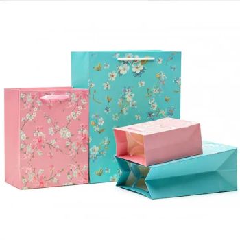 China Factory Wholesale Ribbon Handles Paper Gift Bag Euro Tote Shopping Bags for Packaging Garment/Shoes/Cosmetic/Perfume/Jewellery - Qingdao Flourish Industrial and Trading Co., Ltd. - China