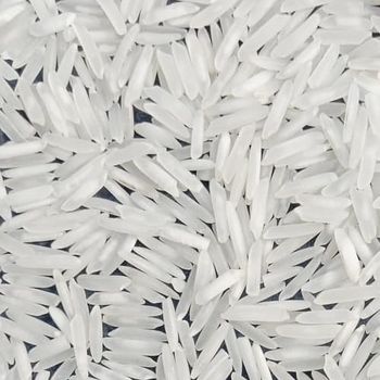 1121 Basmati Extra Long Grain White Rice Supreme Basmati Moisture 10.5% to 12.5%, Silky Polish, Extra Well Milled and Color Sorted - NEXTGRADE SYSTEMS - Pakistan