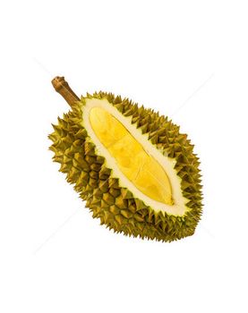 Seed Durian Fruit Export Grade Pack 500g Sweet Fresh Durians from Thailand Fresh Durian Fruit for sale Small from J.C.P IMPORT AND EXPORT CO., LTD Seed Durian Fruit Export Grade Pack 500g Sweet Fresh Durians from Thailand Fresh Durian Fruit for sale Small - J.C.P IMPORT AND EXPORT CO., LTD - Thailand