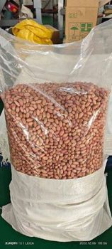 Groundnuts Oil Content 45–52 % Carbohydrates 15–20 % Moisture Content ≤ 8 % Protein Content 25–30 % Groundnut Oil Ffa ≤ 0.5% - MY COCOA - Cameroon