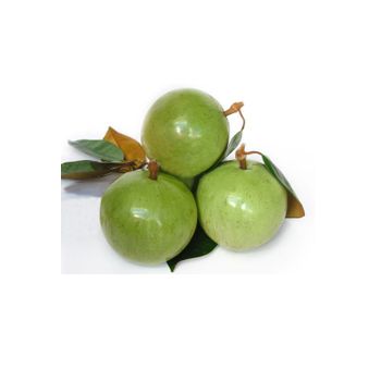 200g-700g/piece Common Cultivation Type Carton Box Packaging Sweet Taste Star Apple Export From Vietnam - CHANH THU EXPORT AND IMPORT FRUIT COMPANY LIMITED - Vietnam