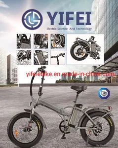 Electric Bicycle China Mountain Bicycle Urban E-Bike Beach Cruiser Motor 500 W 1000 W Fat Tire - JinHua YiFei Electric Technology Co., Ltd. - China