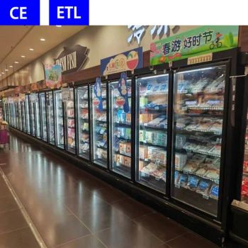 Little Duck Single-Temperature Refrigerators and Freezers CE Certified - Shandong Xiaoya Refrigeration Co., Ltd. - China