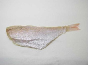 Sea bream fillet - DA NANG COMPANY LIMITED - Global