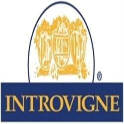 Product from CANTINE INTROVIGNE Product – product photo, Boschendal Red Wine products found from trusted suppliers, wholesalers, manufacturers & exporters Listing